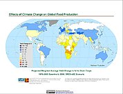 Map: Projected % Change in Grain Yield, SRES A2C (2080)
