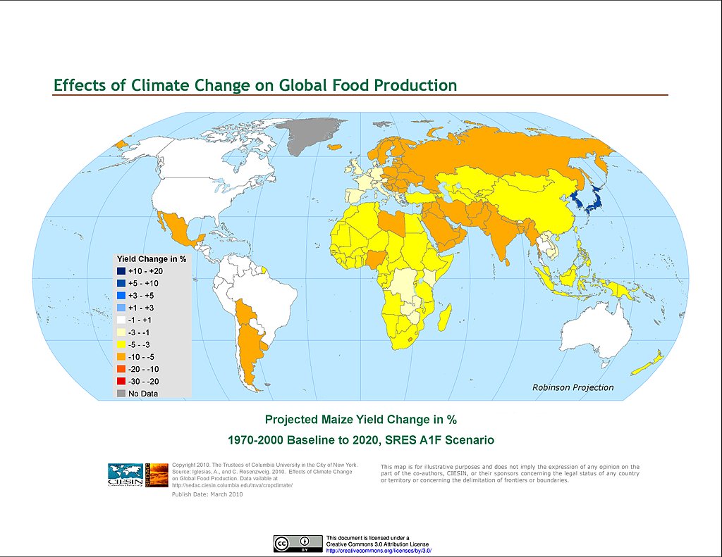 Impact of globalization on food