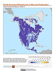 Map: Phosphorus in Manure Production: North America