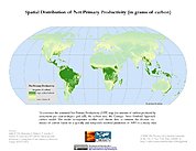Map: Spatial Distribution of Net Primary Productivity