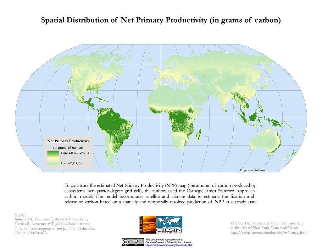 Net primary production