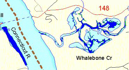 Figure showing SAV beds for Whalebone Creek in blue.