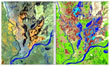 figure 4 thumbnail - click for larger image