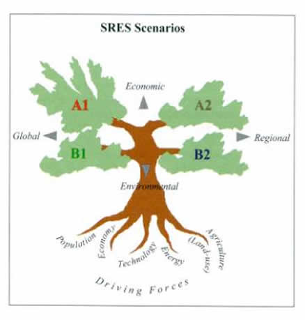 SRES Tree