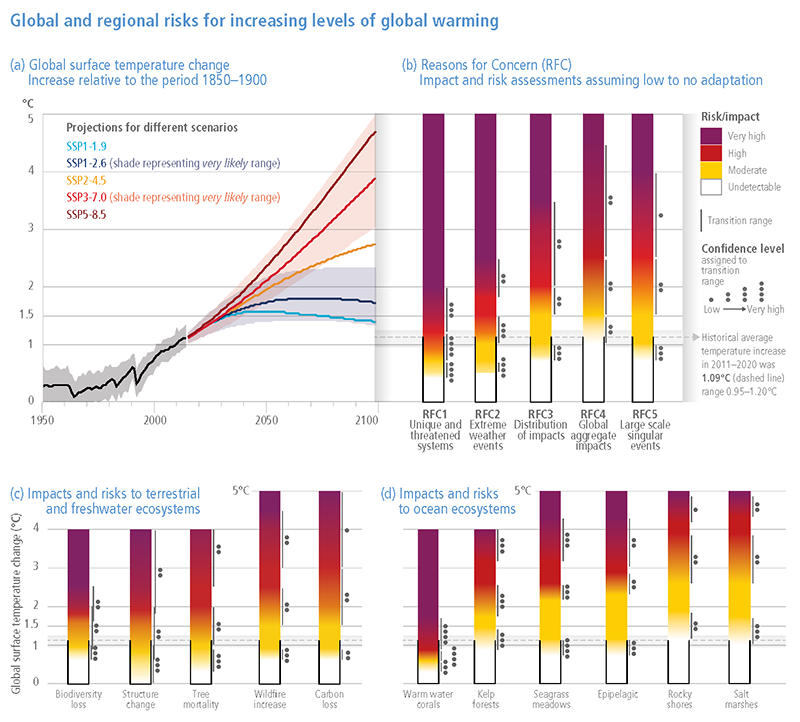 Diagrams of the change in the levels of impacts and risks assessed for global warming of 0-5°C global surface temperature change relative to pre-industrial levels