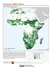 Map: Pastures (2000): Africa