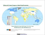 Map: Projected % Change in Grain Yield, SRES B2A (2050)