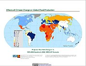 Map: Projected % Change in Rice Yield, SRES A1F (2080)