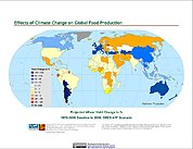 Map: Projected % Change in Wheat Yield, SRES A1F (2050)
