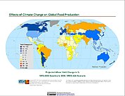 Map: Projected % Change in Wheat Yield, SRES A2A (2050)