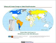 Map: Projected % Change in Wheat Yield, SRES A2B (2020)