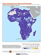 Map: Phosphorus in Manure Production: Africa