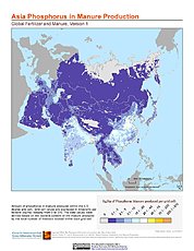 Map: Phosphorus in Manure Production: Asia