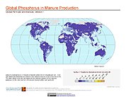 Map: Phosphorus in Manure Production