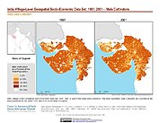 Map: India Male Cultivators (1991, 2001): State of Gujarat