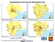 Map: Metropolitan Area Demographics (2000): Houston, TX
