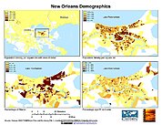 Map: Metropolitan Area Demographics (2000): New Orleans, LA