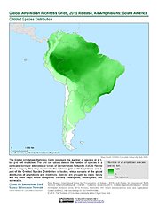 Map: Amphibian Richness, 2015: South America