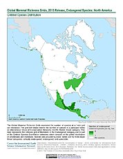 Map: Mammal Richness - Endangered, 2015: North America