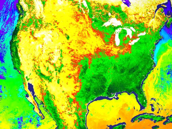 This 
            is a composite MODIS image showing the 'green wave' of spring 
            in North America and sea surface temperature in the ocean, collected 
            over an 8-day period during the first week in April 2000. On land, 
            the darker green pixels show where the most green foliage is being 
            produced due to photosynthetic activity. Yellows on land show where 
            there is little or no productivity and red is a boundary zone. In 
            the ocean, orange and yellows show warmer waters and blues show colder 
            values.